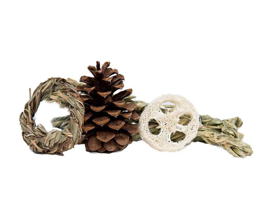 Small Pet Select Rabbit 4 Toy Sampler – Natural Chew Toys Including Pine Cone, Oat Sticks, Honeysuckle Vine & Loofah Biscuit – Foraging Enrichment & Dental Health