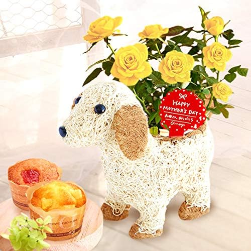 Amazon 母の日 の プレゼント バラ3号鉢 おいもやケーキ洋菓子 花とスイーツ 花鉢 生花 母の日ギフト アニマル 動物 犬 3号鉢 バラ黄色 イヌ白 おいもや 洋菓子ギフト 通販