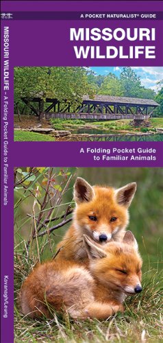Missouri Wildlife: A Folding Pocket Guide to Familiar Animals (Pocket Naturalist Guide Series)