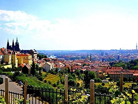 Amazon Co Jp ポスター 旧市街 チェコ共和国 プラハ 家 川 空 雲 壁紙ウォールステッカーポスター 594x4mm Generic