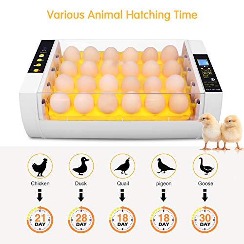 Egg Incubator for Hatching Chicks, 24 Eggs Automatic Egg Incubator