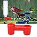 TOPINCN 20pcs Farm Drinking Feeding Tool Birds Drinking Fountain Drinker Equipment Hamster Parrot Water Dispenserthumb 4