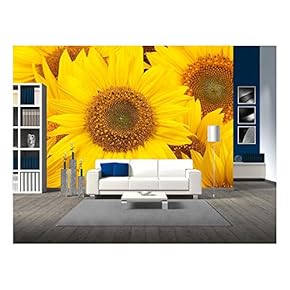 Sunflowers Closeup - Removable Wall Mural | Self-Adhesive Large Wallpaper - 66x96 inches