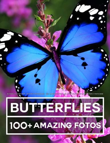 The 100 Most Beautiful Butterflies in the World: A minimalist