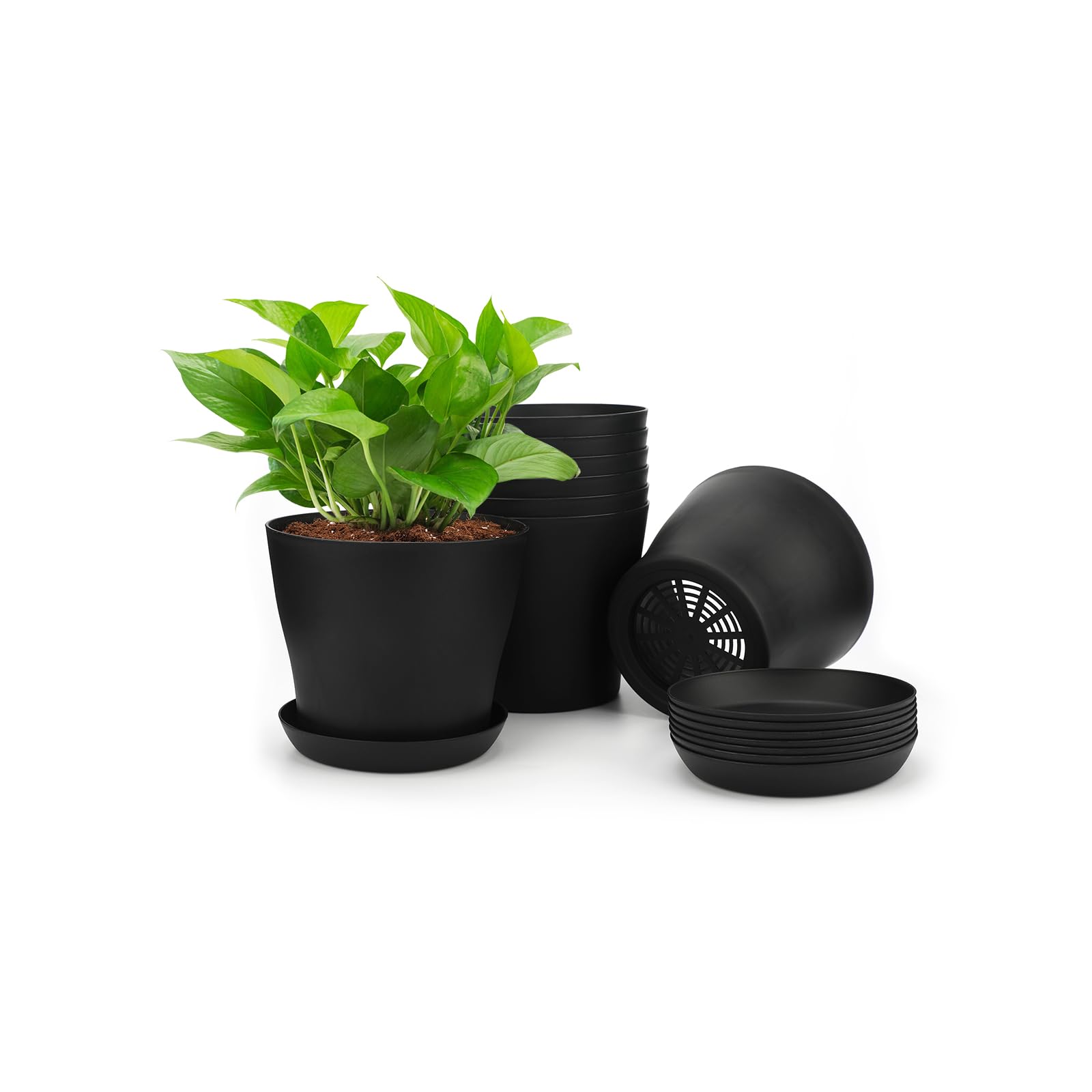 KINGLAKE 16 Pcs Small Plant Pots Indoor 10cm Plastic Flower Pots, Black Plastic Plant Pots with Saucers to Decorate, Round Flower Seedling Pots for Cactus Succulent House Plants
