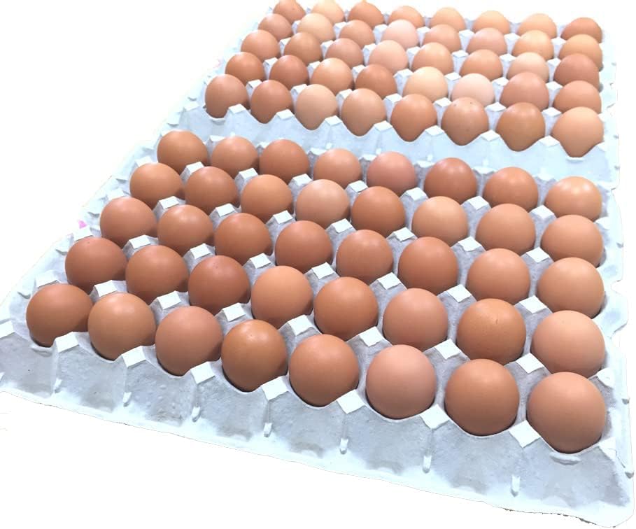 深いコクが特徴 こだわりエサの新鮮鶏卵【コクもりたまご】 大きめサイズ７５個+破卵補償５個商品画像