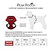 Comfort Control Dog Walking Harness, Support Mesh Padded Vest, Accessory, Collar, Lightweight, No More Pulling, Tugging or Choking, for Puppies, Small Dogs (Blue, Medium), by Downtown Pet Supply