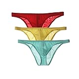 Golirsteca Mens Breathable Low Waist Sheer Bikini