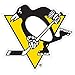 Siskiyou Sports NHL Magnet, Logo