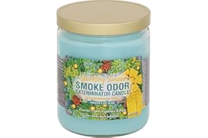 Smoke Odor Exterminator, Sparkling Juniper 13oz Jar Candle, 13 oz, 13 Ounce