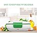 YOUDirect Car Use Electric Heating Lunch Box - Portable Bento Meal Heater Car Plug Food Warmer Stainless Steel Heating Food Container Leak-Resistant Reusable Electronic Food Boxes (Green)