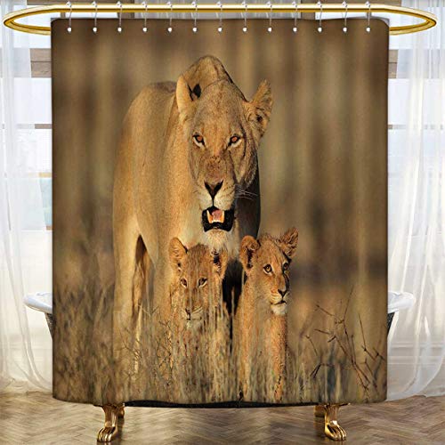 Safari Shower Curtains Mildew Resistant Mom Lioness And Young Lion