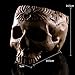 ChezMax Realistic Human Skull Resin Halloween Candy Bowl Flowerpot Dish Statue Sculpture Skeleton, 7.68 Inch, Floral Carved