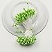 FLOWER 1200PCS Artificial Double Heads Stamen Pearlized for Craft Cards Cakes Decoration Floral DIY Wreath Accessories (White)