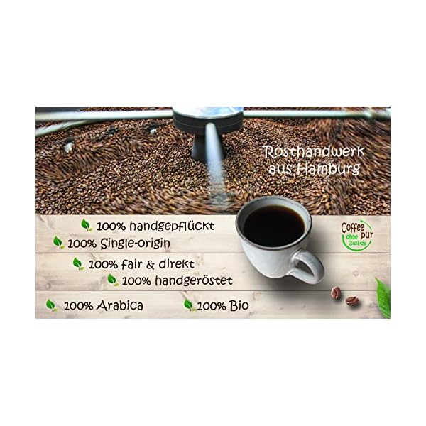 Life is You! Coffee Bags | (BIO) Kaffee Chiapas aus den Berghängen der Sierra Madre de Chiapas in Mexiko | 15 Coffee… – Bild 4
