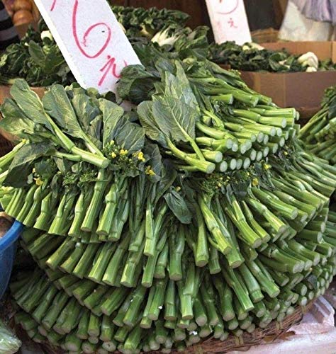 Raflesa Midwater GAI LAN Seeds (25 Seeds)