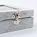 Valdler Clear Lid 24 Grid Jewelry Tray Showcase Display Storage (24 Grid)