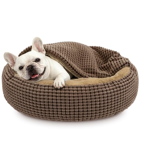 SIWA MARY Dog Bed with Blanket