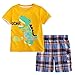 LMYOVE Little Boys' Cotton Short Sleeve T-Shirt & Plaid Shorts Set(3T,Roaring Dinosaur)