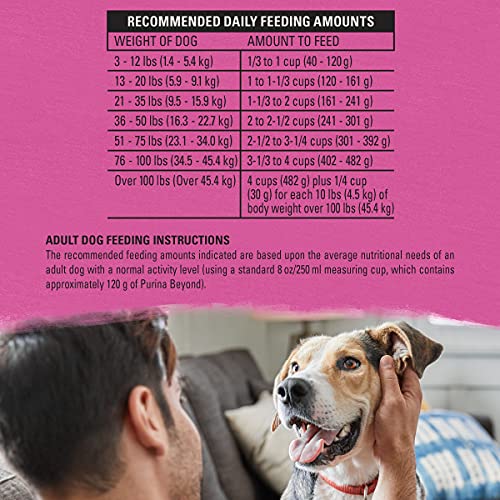 purina beyond beef and egg