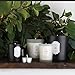 NEOVIVA HOME Scented Candles with Rose & Amber with 100% Natural Essential Oils Aromatherapy Candle Soy Wax for Stress Relief and Aromatherapy Quality Gift 9.9 Ounce (Black, Large)thumb 4