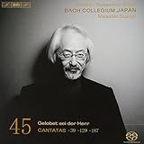Bach: Cantatas, Vol. 45