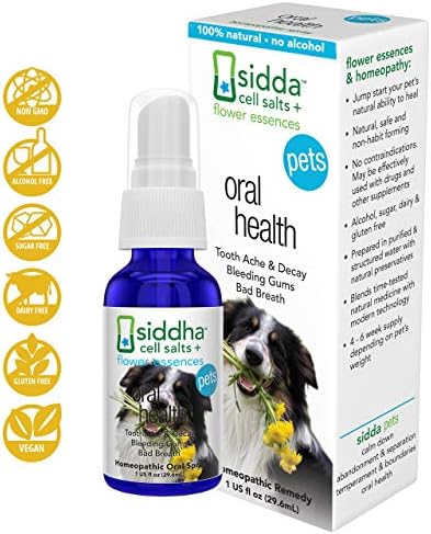 amazon fancy feast gravy lovers