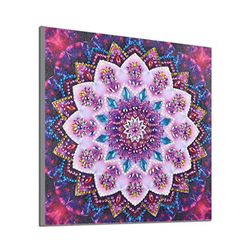 New Arrival!DEESEE(TM)Special Shaped Diamond Painting DIY 5D Partial Drill Cross Stitch Kits Crystal Rhinestone of Picture Serial Diamond Embroidery Arts Craft (C)