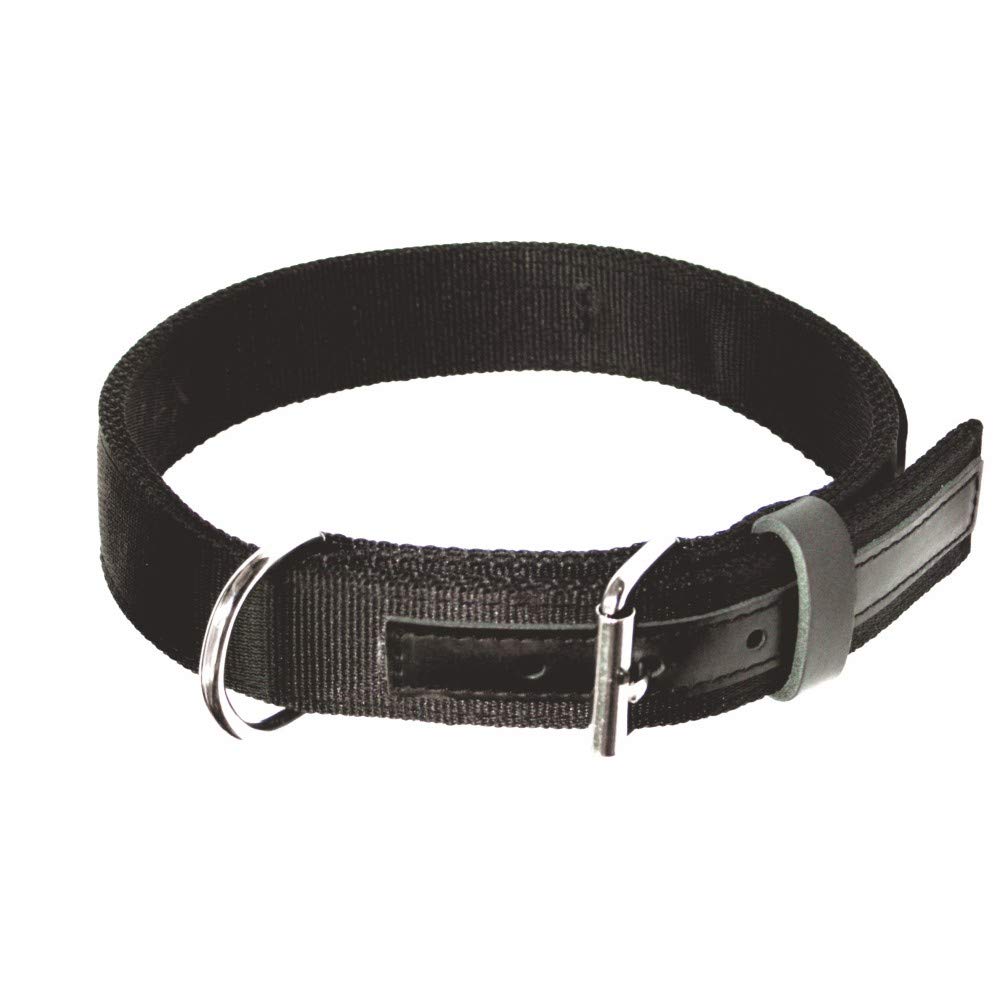 DINGO GEAR Max Dog Collar, Extreme Strong and Durable Material Collar with Chromed Fittings, Neck Girth 56-64 cm, Suitable for Working Dogs, Black (S04035)