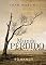 Livro Mundo Perdido: Romance