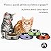Petfamily Stainless Steel Cat Bowl, Heavy Duty Cats and Dogs Bowls with Non-Skid Rubber Base, Pet Food Bowls, 8 Ounce, Set of 2 (Green/Orange)