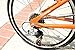 Allen Sports Aluminum 7 Speed Folding Bicycle, Sedona, 12-Inch/One Size