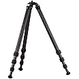 Really Right Stuff TVC-24L Series 2 Mk2 Versa Apex 4-Section Carbon Fiber Tripod, Long