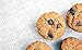 PALEO BAKING CO Paleo Blueberry Muffin Mix, 8.9 OZ