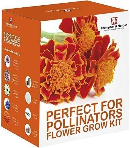 Perfect for Pollinators Seed Growing Kit Gift Box