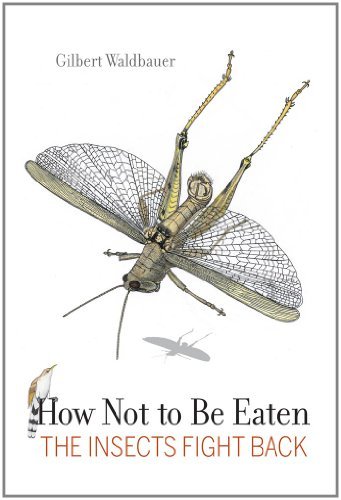 How Not to Be Eaten: The Insects Fight Back