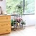 7 Tier Metal Plant Stand Shelf Indoor Wrought Iron Plant Stands Outdoor Multilayer Potted Planters Display Rack Patio Garden, Size: 66 x 22 x 102cmthumb 1