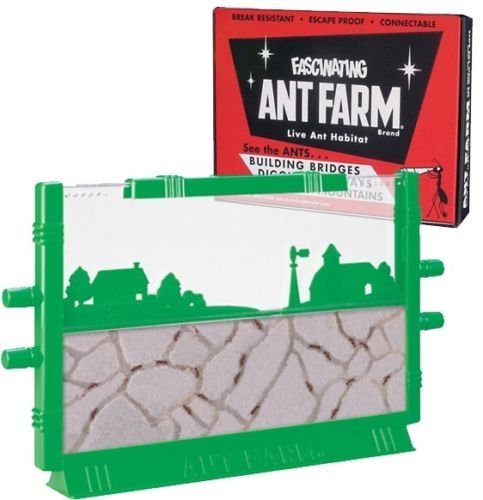 Big Game Toys~ANT Farm~ Live Habitat Free Ants