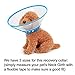 IN HAND Adjustable Recovery Dog Cone Cat Cone Clear Padded ECollar with Breathable Soft Edge Plastic Soft Cone Designed for Cats and Puppies