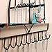 Earring and Necklace Holder Wall Mount Jewelry Display Bracelets Birdcage Organizer Hanger with 40 Holes 20 Hooks
