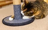 Petface Catkins Crazy Catnip Natural Wild Catnip 15 g Pack view 6