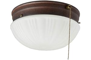 Westinghouse Sienna Corp 6720200 67202 2-Light Ceiling Fixture