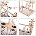 QBLEEV Parrot Wood Stand Perch Bird Playstand Playground Playgym Playpen Ladder with Toys Exercise Play (Include a Tray)（19″ L13 W21 Hthumb 4