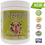 ScruffyPet - High Potency Probiotics For Dogs - Packed w/ Multivitamins & Minerals - 20 Probiotic Strains - The Best Dog Nutritional Supplement For Optimal Digestive Health & Energy - 250g