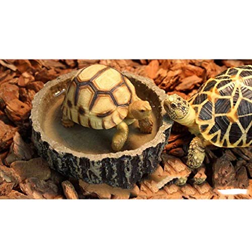 AROYEL Reptile Bowl Food Water Dish Bearded Dragon Gecko Meal Worm Feeder, Resin Feeding Food Water Dish Dispenser Snack Holder for Tortoise Spider Lizard - Thumbnail 2