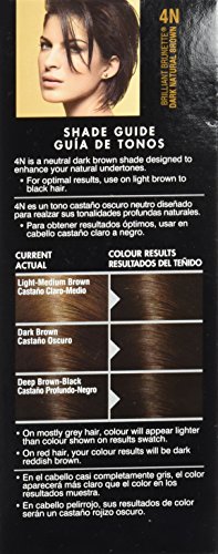 John Frieda Precision Foam Colour Dark Natural Brown 4N, 1 Application