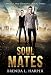 SOUL MATES (Angels and Demons Book 3)