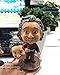 LYNDA SUTTON Einstein Toys Albert Einstein Bobblehead with The Famous Formula E=mc² Dashboard Accessories/Desk Decor/Collection