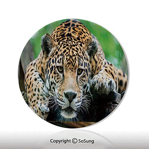 Jungle 7" Ceramic Decorative Plate,South American Jaguar Wild Animal Carnivore Endangered Feline Safari Image Orange Black Green,for Living Room, Bedroom, Hallway Console Side Table Decor