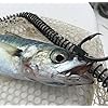 Live-Bait-Zip-Bridle-Needle-Hook-Harness-and-Zip-Tie-in-One Live-Bait-Zip-Bridle-Needle-Hook-Harness-and-Zip-Tie-in-One